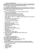 Konspekts 'Iekšējais audits', 1.