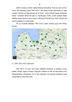 Referāts 'Klientu servisa darbības analīze uzņēmumā "Bite Latvija"', 19.