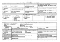 Konspekts 'Anatomija. Muskuļi', 1.