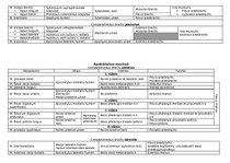 Konspekts 'Anatomija. Muskuļi', 13.