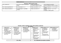 Konspekts 'Anatomija. Muskuļi', 15.