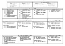 Konspekts 'Anatomija. Muskuļi', 16.