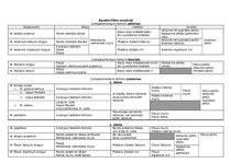 Konspekts 'Anatomija. Muskuļi', 22.