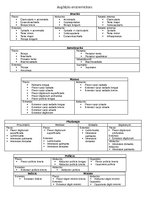 Konspekts 'Anatomija. Muskuļi', 29.