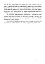 Referāts 'Mīlas un naida, piedošanas un atriebes tēma Raiņa dzīvē un darbos', 14.