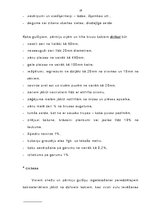 Referāts 'Produkcijas kvalitātes nodrošināšanas iespējas SIA "SERVICE"', 19.