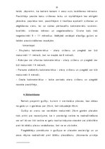 Referāts 'Produkcijas kvalitātes nodrošināšanas iespējas SIA "SERVICE"', 20.