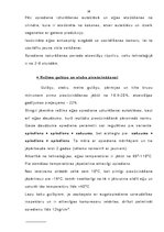 Referāts 'Produkcijas kvalitātes nodrošināšanas iespējas SIA "SERVICE"', 28.