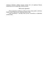 Konspekts 'Organizācija', 3.