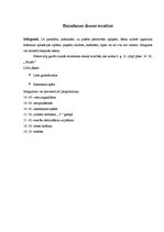 Konspekts 'Dzimšanas diena. Stundas konspekts', 5.