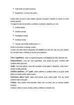 Konspekts 'Dzimšanas diena. Stundas konspekts', 7.