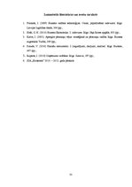 Prakses atskaite 'Prakses atskaite viesu namam "Rēzijas"', 33.