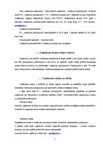 Biznesa plāns 'IU "Vaksācijas pakalpojumi" biznesa plāns', 4.