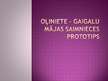 Prezentācija 'Oļiņiete - Gaigalu mājas saimnieces prototips', 1.