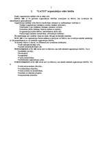 Referāts 'Organizācijas "Latio" iekšējā un ārējā vide un tās ietekme uz organizācijas darb', 2.