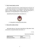 Referāts 'Valsts policijas uzbūve', 9.