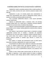 Biznesa plāns 'Kokapstrādes uzņēmuma biznesa plāns', 4.