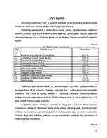 Biznesa plāns 'Kokapstrādes uzņēmuma biznesa plāns', 18.