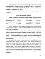 Biznesa plāns 'Kokapstrādes uzņēmuma biznesa plāns', 20.