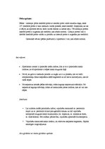 Referāts 'Sportista anamnēze', 7.