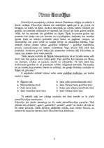 Referāts 'Grieķu filosofija', 2.