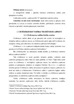 Referāts 'Cilvēkresursu vadīšana uzņēmumā SIA "X"', 2.