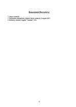 Referāts 'Uzņēmuma ''X-SISTĒMAS'' vadības analīze', 13.