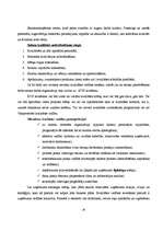 Referāts 'Kvalitātes vadība salonā "Skaistuma templis“ ', 16.