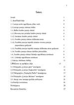 Referāts 'Vērtspapīru portfeļa izveidošana pensiju fondos', 2.