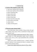 Referāts 'Vērtspapīru portfeļa izveidošana pensiju fondos', 4.