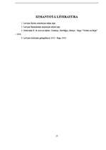 Referāts 'Latvijas - Somijas attiecības', 13.