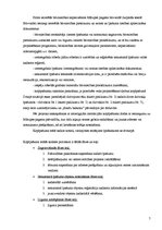 Referāts 'Nekustamo īpašumu formēšana', 7.