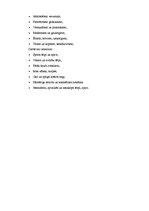 Referāts 'Skolotāja vizuālais tēls mūsdienās', 2.