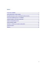 Referāts 'Programma "DC-Settle"', 2.