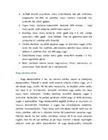 Referāts 'Tropu meži', 3.