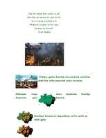 Referāts 'Tropu meži', 5.