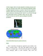 Referāts 'Tropu meži', 6.