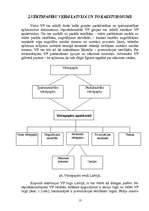 Referāts 'Vērtspapīri un to nozīme mūsdienu tirgū', 13.