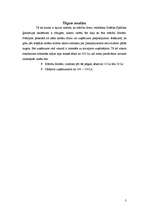 Referāts 'Biznesa plāns', 3.