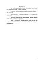 Referāts 'Biznesa plāns', 4.