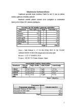 Referāts 'Biznesa plāns', 5.