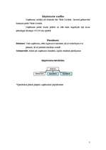 Referāts 'Biznesa plāns', 7.