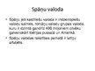 Prezentācija 'Pasaules izplatītākās valodas', 5.