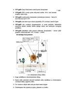 Referāts 'Printeri, to uzbūve un pielietojums', 7.