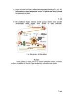 Referāts 'Printeri, to uzbūve un pielietojums', 8.