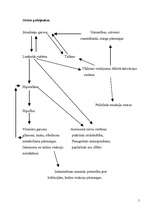 Referāts 'Stress', 5.