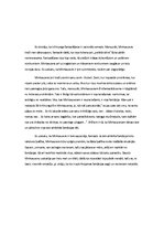 Eseja 'Mārtiņa Zīverta veidotais Minhauzens - mūžīgais fantasts vai nelabojams melis?', 3.