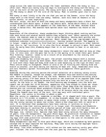 Eseja 'The Downy Woodpecker', 2.