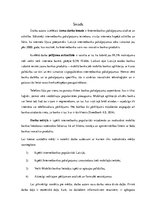 Referāts 'Internetbankas pakalpojumu analīze un attīstība', 3.