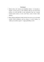 Referāts 'Internetbankas pakalpojumu analīze un attīstība', 21.